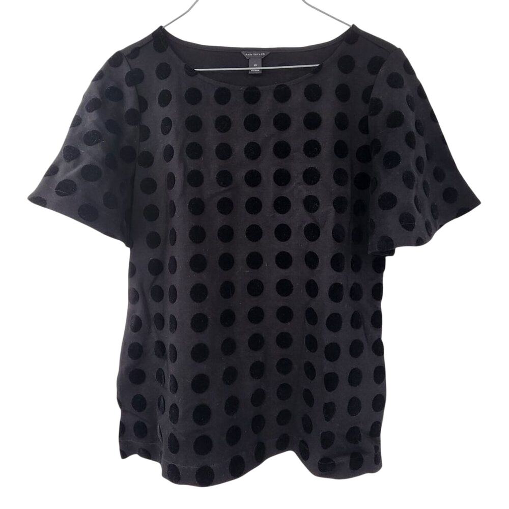 Ann Taylor Black Velvet Dot Sheer Mesh Short Sleeve Top Women's XS Boxy Blouse